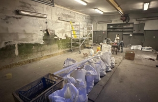 Ganību dambis - Attēls