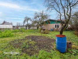 37. līnija - Attēls