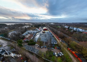 Anšlava Eglīša - Attēls