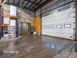 Anšlava Eglīša - Attēls