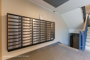 Dainas 10A - Изображение