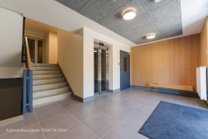 Dainas 10A - Изображение