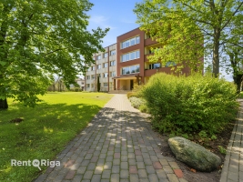 Leona Paegles 15 - Attēls