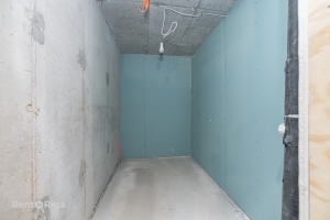 Krišjāņa Barona - Attēls