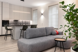 Rūpniecības 1 - Attēls