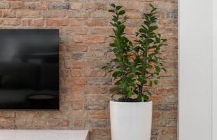 Rūpniecības 1 - Attēls