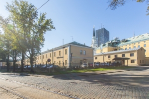 Kronvalda bulvāris - Attēls