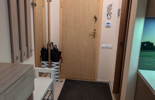 Praulienas 6 - Attēls