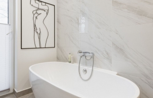 Mellužu prospekts - Attēls