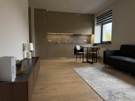 Lielirbes 9A - Attēls