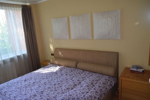 Apes 12 - Изображение