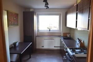 Apes 12 - Изображение