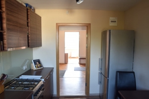 Apes 12 - Изображение