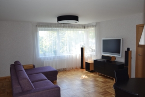 Apes 12 - Изображение