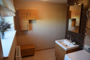 Apes 12 - Изображение