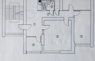 Apes 12 - Изображение