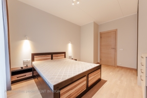 Gaiļezera 11 - Attēls