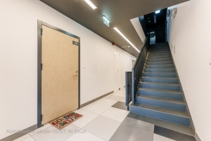 Gaiļezera 11 - Attēls