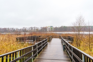 Gaiļezera 11 - Attēls