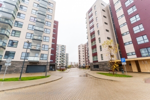 Gaiļezera 11 - Attēls