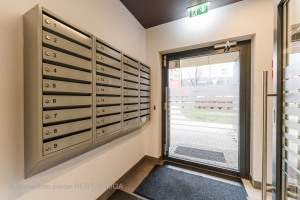 Gaiļezera 11 - Attēls