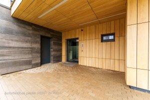 Gaiļezera 11 - Attēls