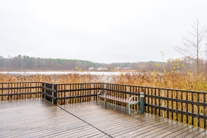 Gaiļezera 11 - Attēls