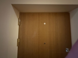 Firsa Sadovņikova 31 - Attēls