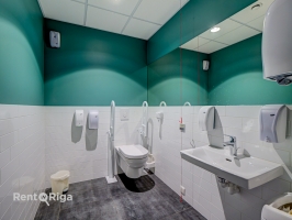 Krišjāņa Barona - Attēls