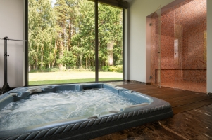 Lazdu - Изображение