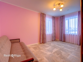 Vēja ceļš - Attēls