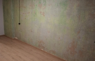 Matīsa 45 - Attēls