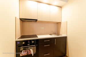 Firsa Sadovņikova 31 - Attēls