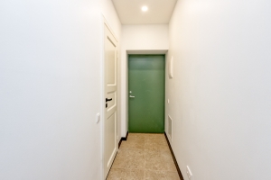 Matīsa 101 - Attēls