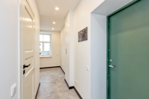 Matīsa 101 - Attēls