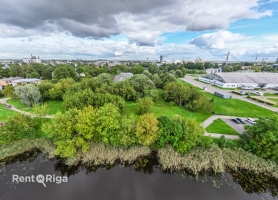 Mazā Kaiju - Attēls