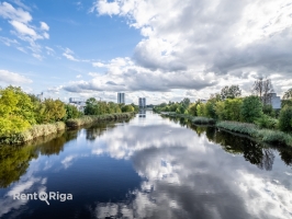 Mazā Kaiju - Attēls