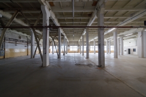 Daugavgrīvas - Attēls