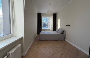 Lauvas 7 - Изображение