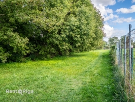 Mazā Kaiju - Изображение