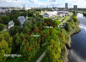 Mazā Kaiju - Attēls