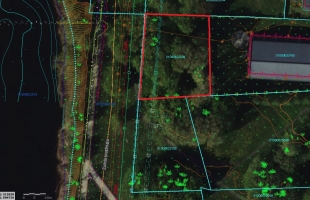 Mazā Kaiju - Attēls