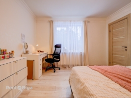 Jāņa Pliekšāna - Attēls