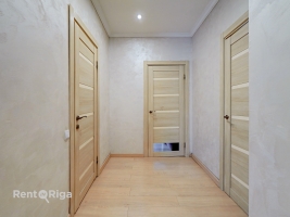 Jāņa Pliekšāna - Attēls