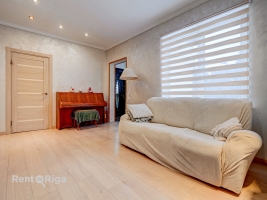 Jāņa Pliekšāna - Attēls