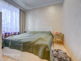 Jāņa Pliekšāna - Attēls