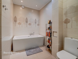 Jāņa Pliekšāna - Attēls