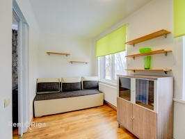 Jāņa Pliekšāna - Attēls