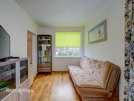 Jāņa Pliekšāna - Attēls