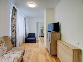 Jāņa Pliekšāna - Attēls